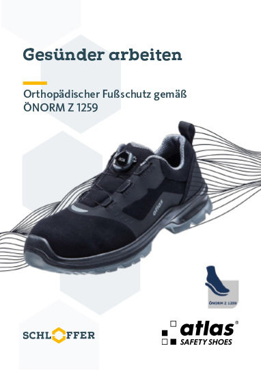 Spezialkatalog Atlas ÖNORM Z 1259